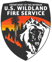 DOI Logo